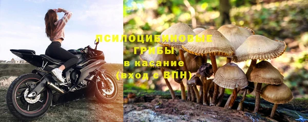 прущий лед Нефтегорск