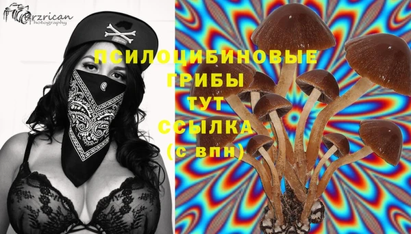 МДПВ Нефтекумск