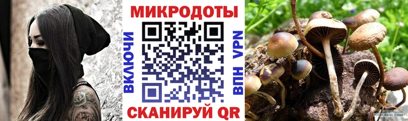 сколько стоит  Юрюзань  Псилоцибиновые грибы GOLDEN TEACHER 